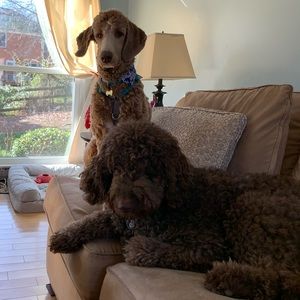 Meet your Posher, Jessica